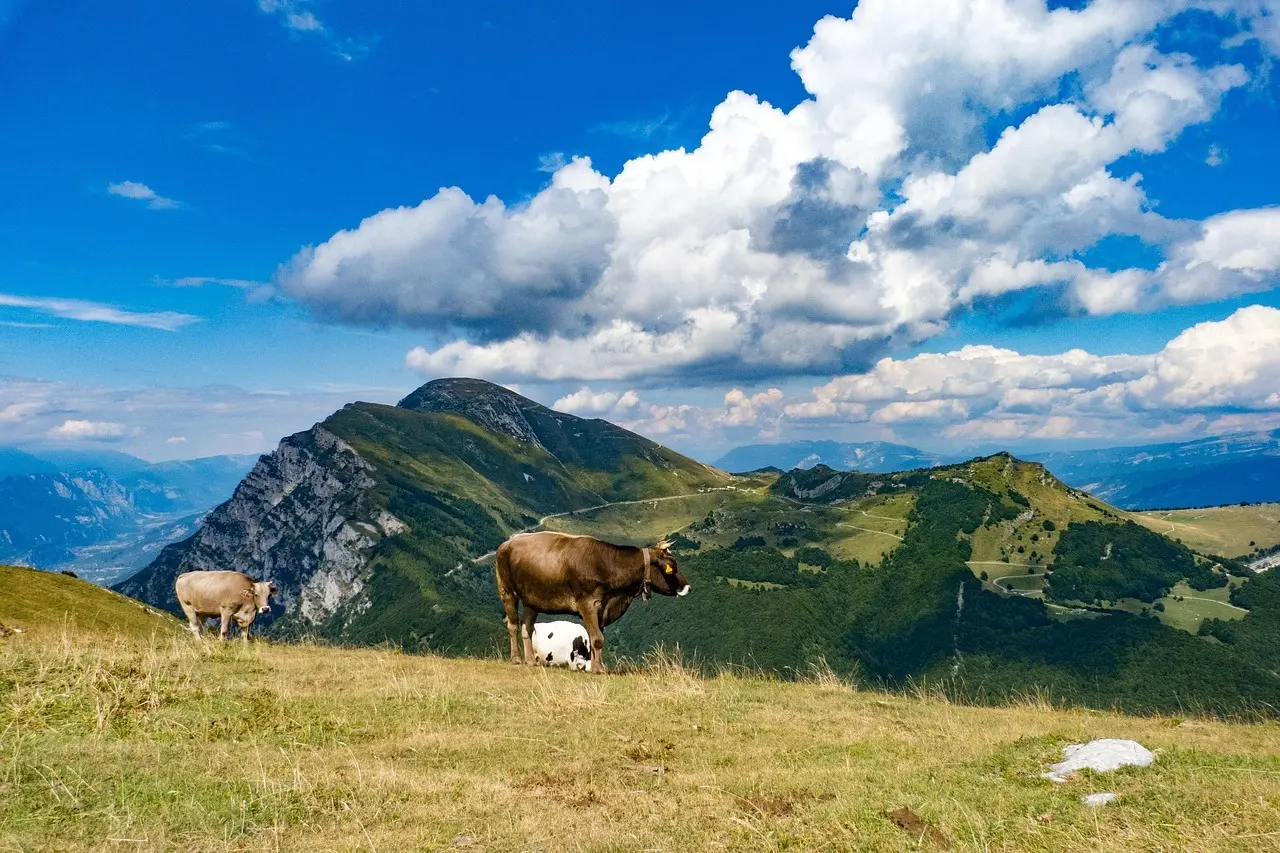 Sådan booker du svævebanen til Monte Baldo online